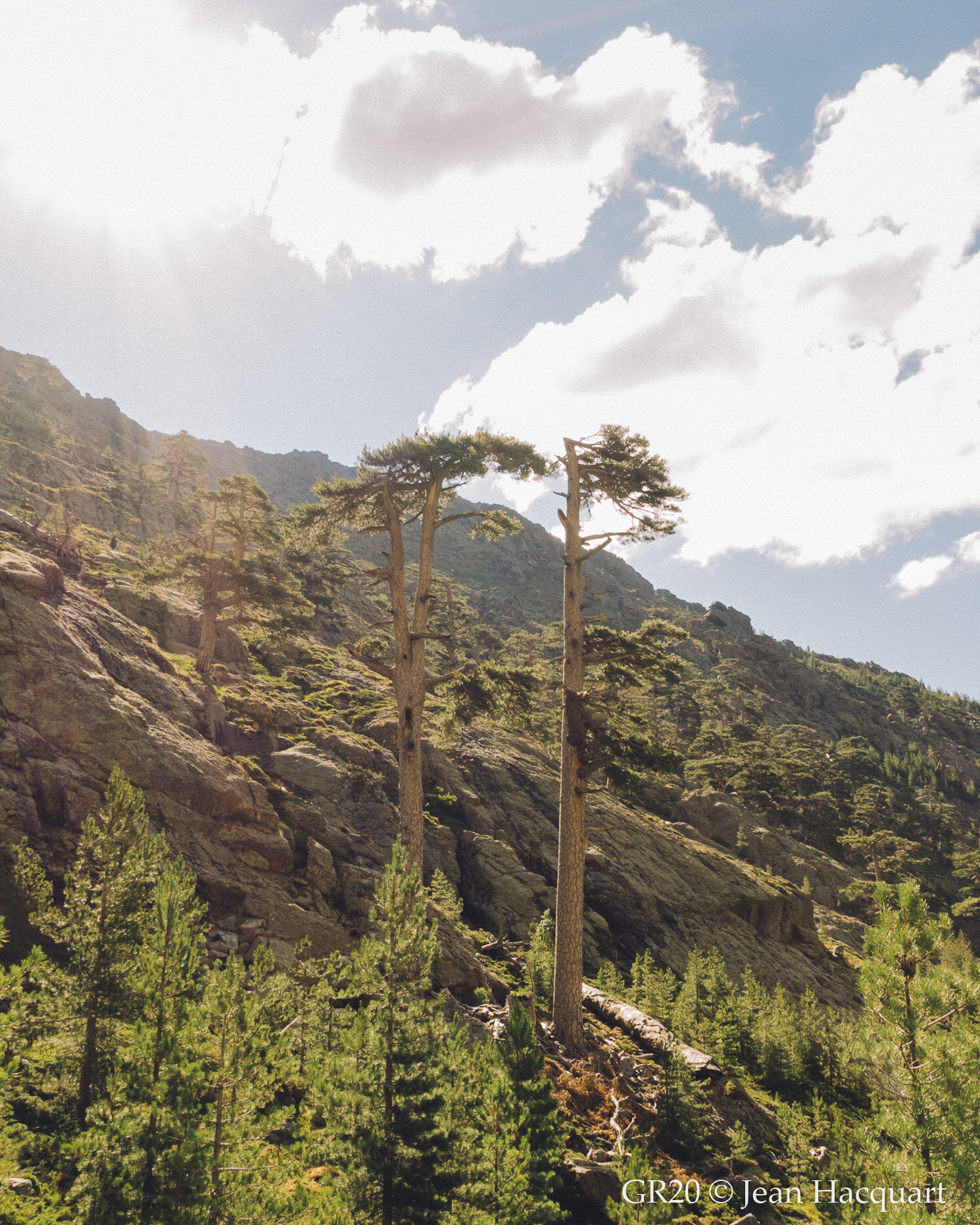 Gite municipal Calenzana