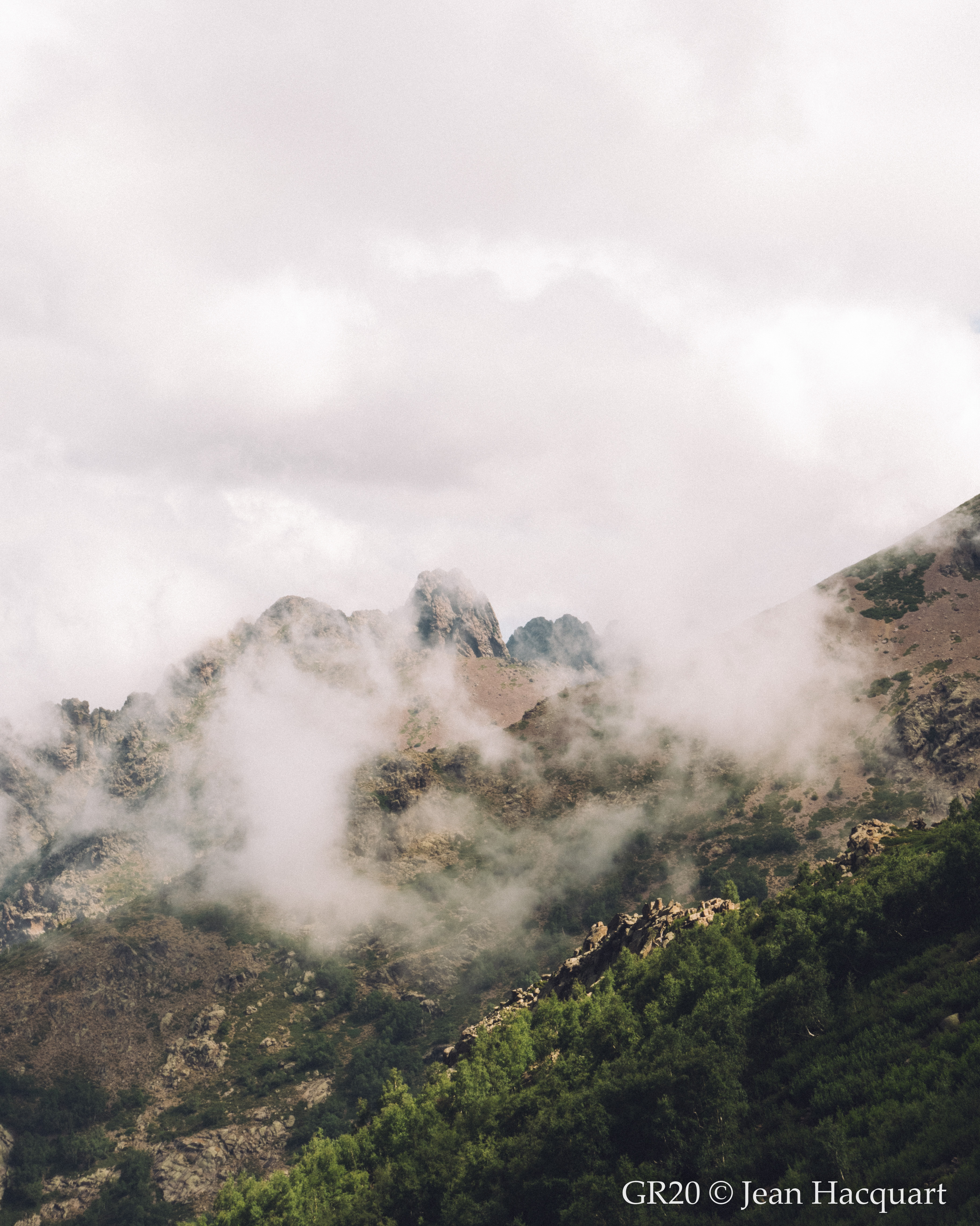 Bergerie E Capanelle