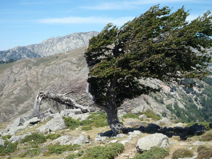 GR20 étape 7 — Castel di Verghio → Manganu