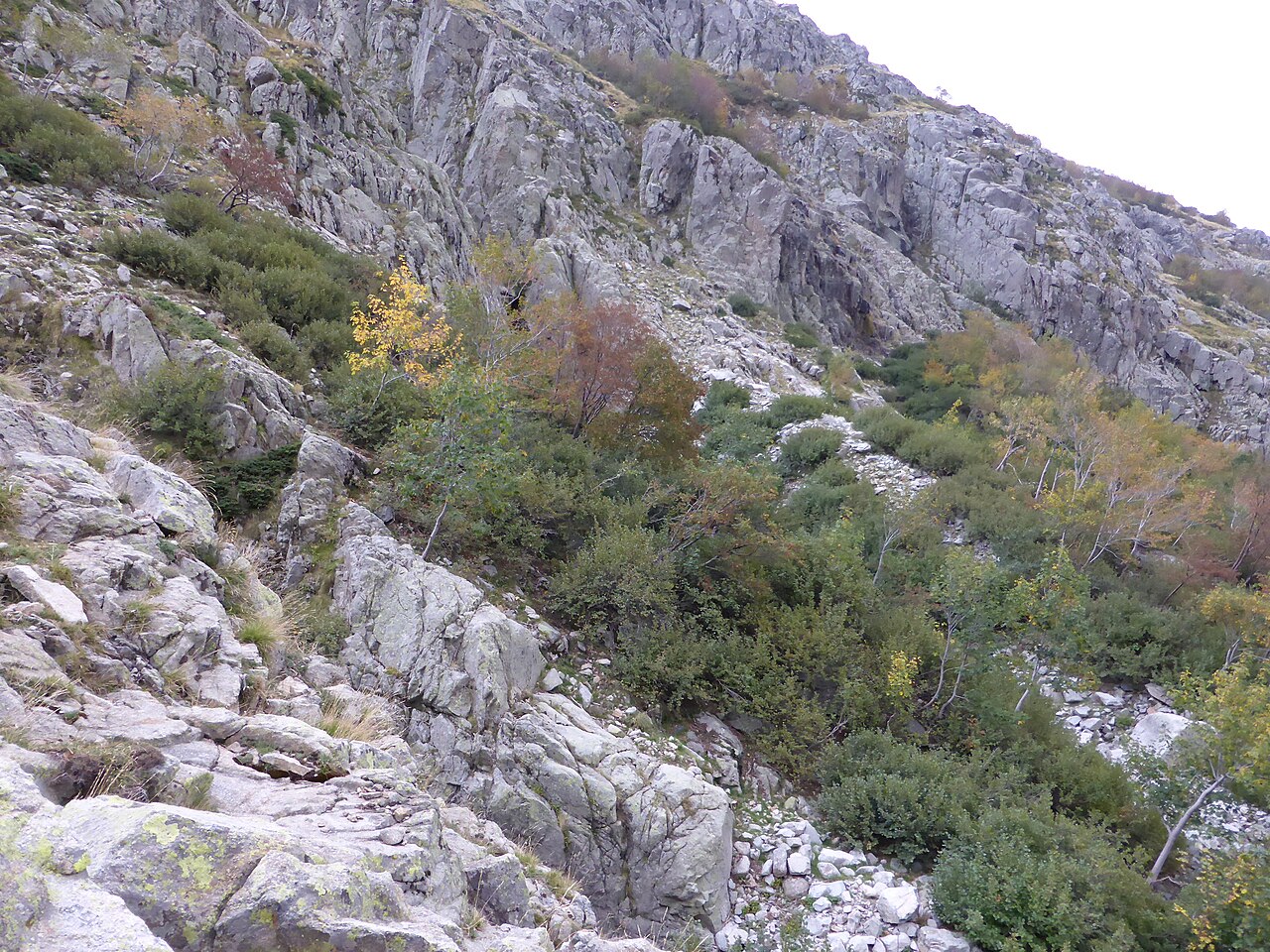 Descente vers Vizzavona dans la forêt, GR20