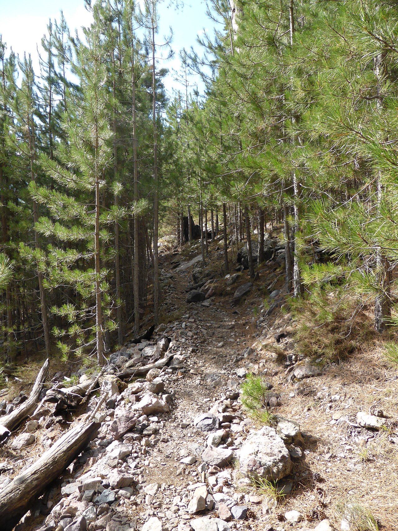 Paysages minéraux étape Tighjettu–Ciottulu