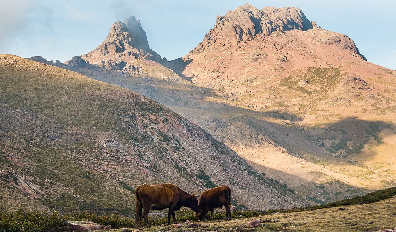 Paglia Orba et Capu Tafunatu depuis le GR20