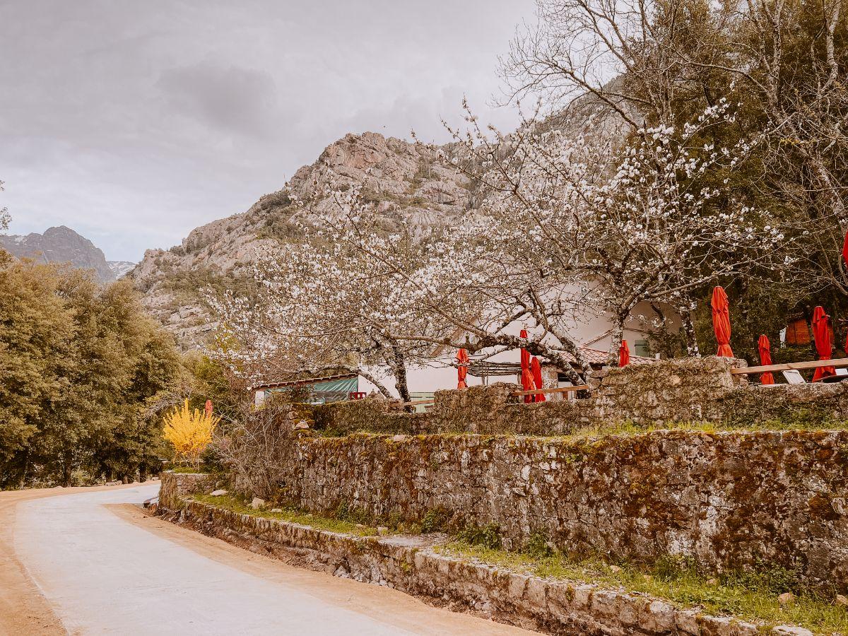 Auberge de Bonifatu